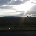Σπίτι διακοπών Stargazer Dome At Balaton *